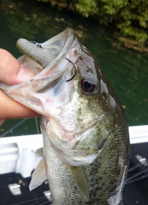 hideup 久次米良信 ブログ写真 2017/05/07