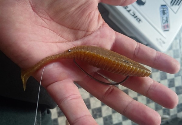 hideup 久次米良信 ブログ写真 2017/08/18