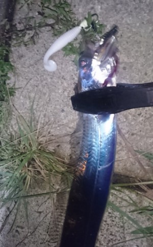 hideup 久次米良信 ブログ写真 2017/10/09