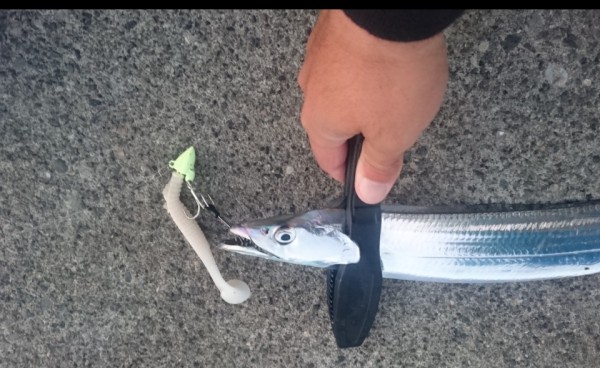 hideup 久次米良信 ブログ写真 2017/10/02