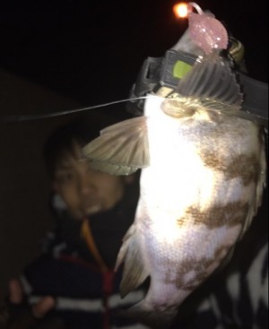 hideup 久次米良信 ブログ写真 2016/12/17