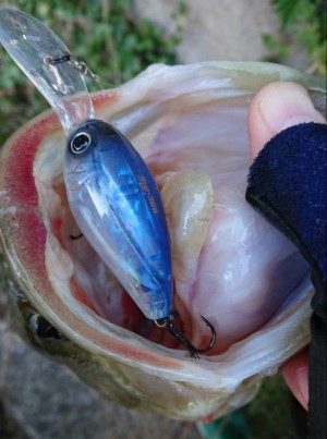 hideup 久次米良信 ブログ写真 2017/12/18