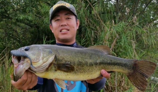 hideup 久次米良信 ブログ写真 2017/06/01