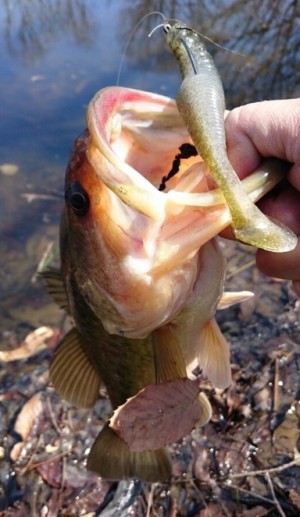 hideup 久次米良信 ブログ写真 2016/05/14