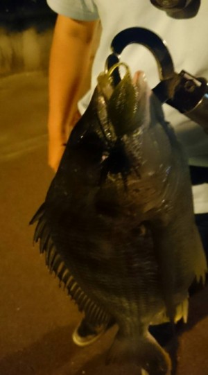 hideup 久次米良信 ブログ写真 2016/06/22