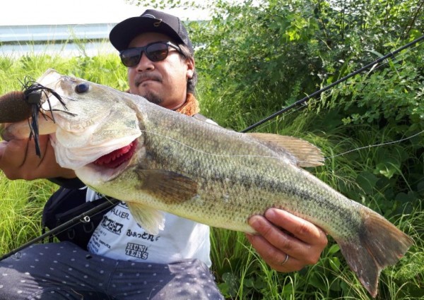 hideup 久次米良信 ブログ写真 2017/08/12