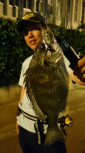 hideup 久次米良信 ブログ写真 2016/06/22