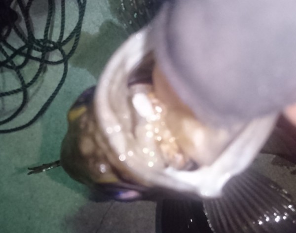 hideup 久次米良信 ブログ写真 2017/03/04