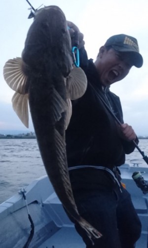 hideup 久次米良信 ブログ写真 2017/05/22