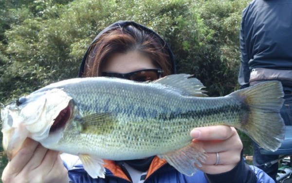 hideup 久次米良信 ブログ写真 2016/05/06