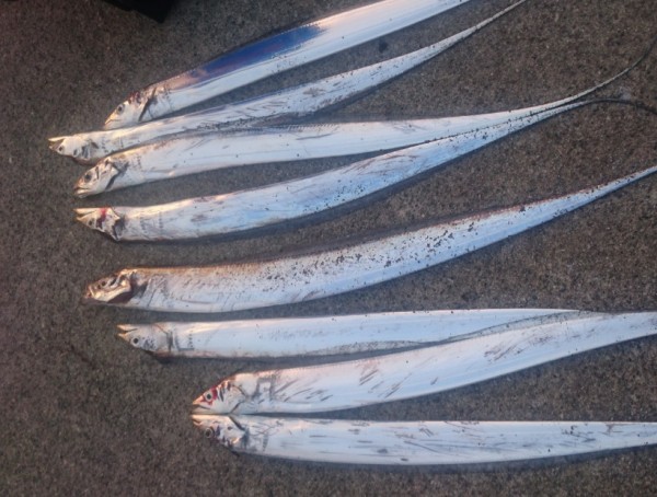 hideup 久次米良信 ブログ写真 2017/10/14