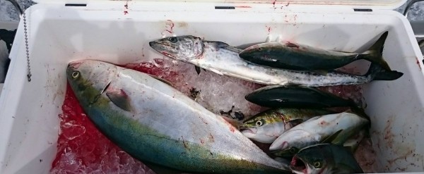 hideup 久次米良信 ブログ写真 2017/09/12