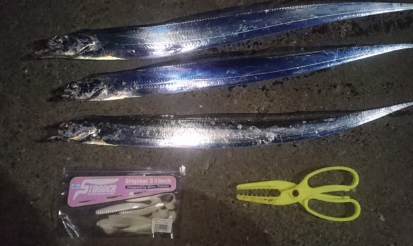 hideup 久次米良信 ブログ写真 2017/11/15