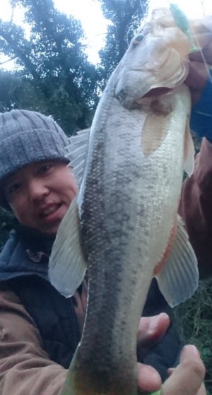 hideup 久次米良信 ブログ写真 2017/03/15