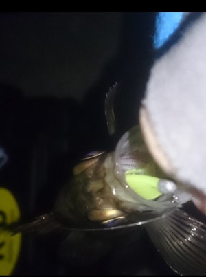 hideup 久次米良信 ブログ写真 2017/01/18