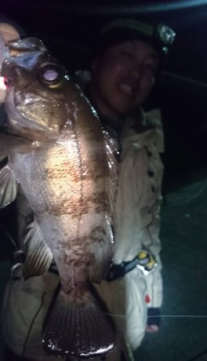 hideup 久次米良信 ブログ写真 2016/12/20