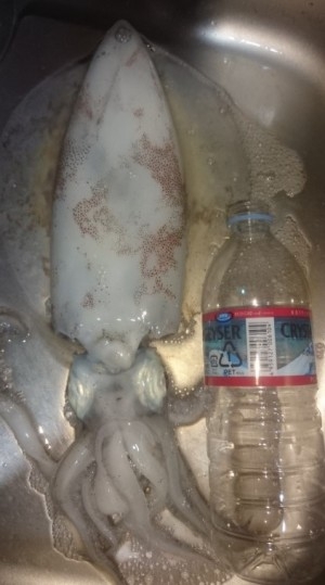 hideup 久次米良信 ブログ写真 2016/10/19