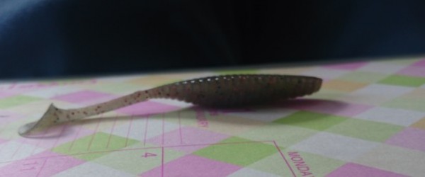 hideup 久次米良信 ブログ写真 2016/05/21