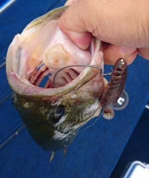 hideup 久次米良信 ブログ写真 2017/09/04