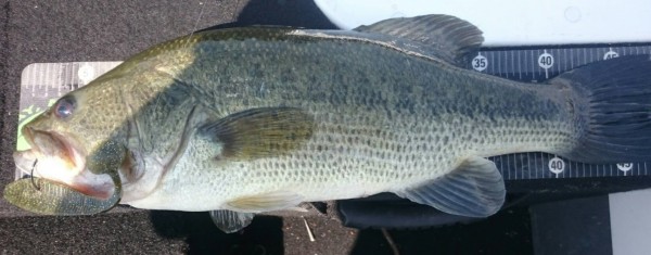 hideup 久次米良信 ブログ写真 2016/09/13