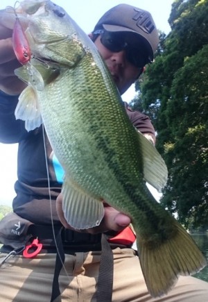 hideup 久次米良信 ブログ写真 2017/10/11