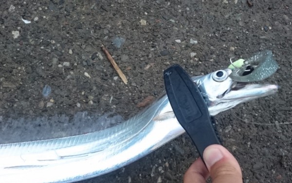 hideup 久次米良信 ブログ写真 2017/10/05