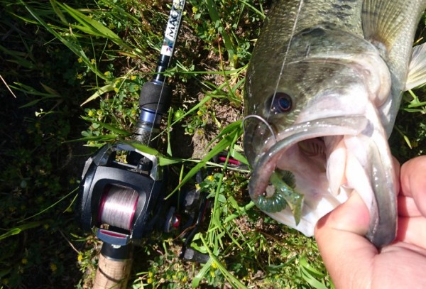 hideup 久次米良信 ブログ写真 2017/05/09