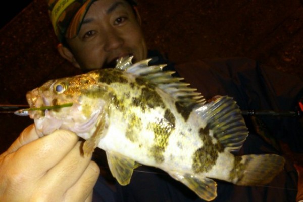 hideup 久次米良信 ブログ写真 2016/11/04