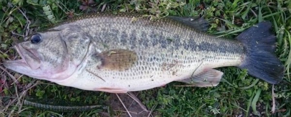 hideup 久次米良信 ブログ写真 2016/05/14