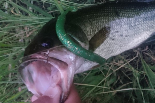 hideup 久次米良信 ブログ写真 2017/06/16