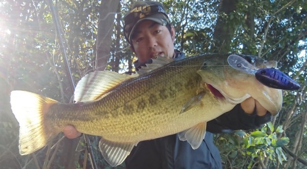 hideup 久次米良信 ブログ写真 2017/12/04