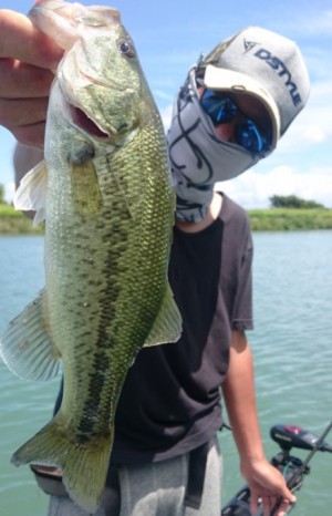 hideup 久次米良信 ブログ写真 2017/08/13