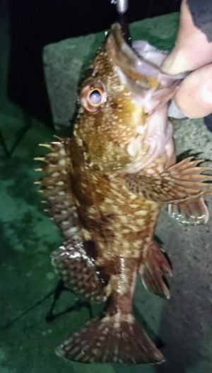 hideup 久次米良信 ブログ写真 2016/12/14