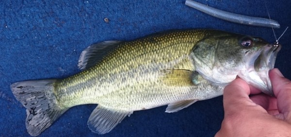 hideup 久次米良信 ブログ写真 2017/09/04