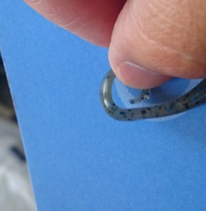 hideup 久次米良信 ブログ写真 2017/06/08