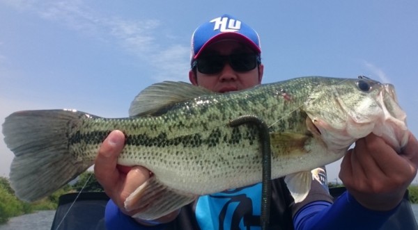 hideup 久次米良信 ブログ写真 2017/06/19