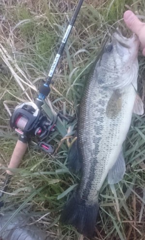 hideup 久次米良信 ブログ写真 2016/12/01