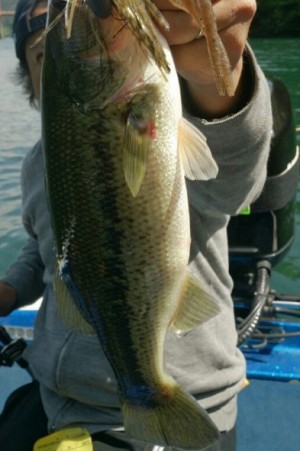 hideup 久次米良信 ブログ写真 2016/05/06