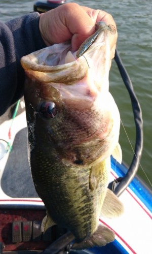 hideup 久次米良信 ブログ写真 2017/05/15