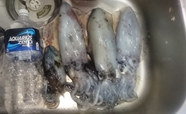 hideup 久次米良信 ブログ写真 2016/12/03