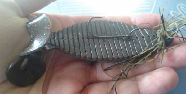 hideup 久次米良信 ブログ写真 2016/05/21