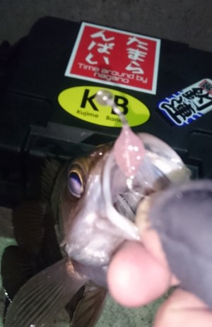 hideup 久次米良信 ブログ写真 2017/02/09