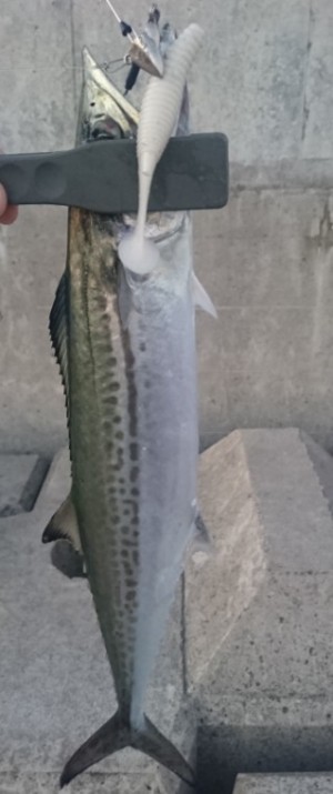 hideup 久次米良信 ブログ写真 2017/10/03