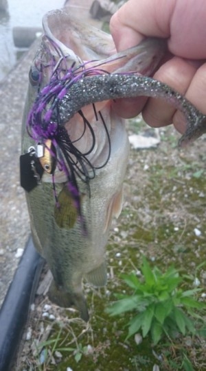 hideup 久次米良信 ブログ写真 2016/06/18