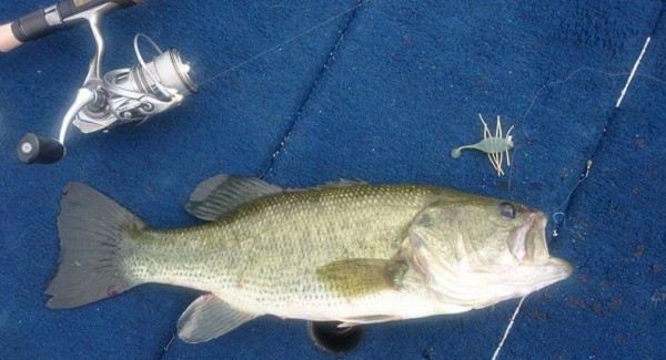 hideup 久次米良信 ブログ写真 2016/07/18