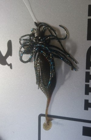 hideup 久次米良信 ブログ写真 2016/07/14