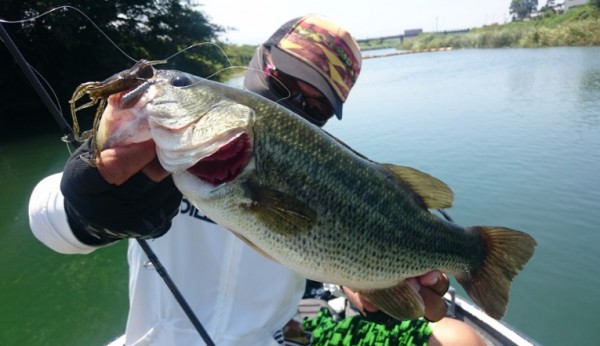 hideup 久次米良信 ブログ写真 2016/08/13