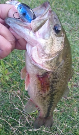 hideup 久次米良信 ブログ写真 2017/06/21