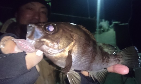 hideup 久次米良信 ブログ写真 2016/12/20