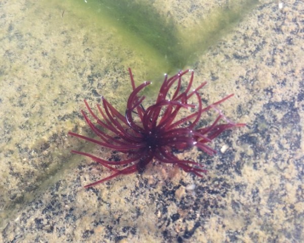 hideup 久次米良信 ブログ写真 2016/06/02